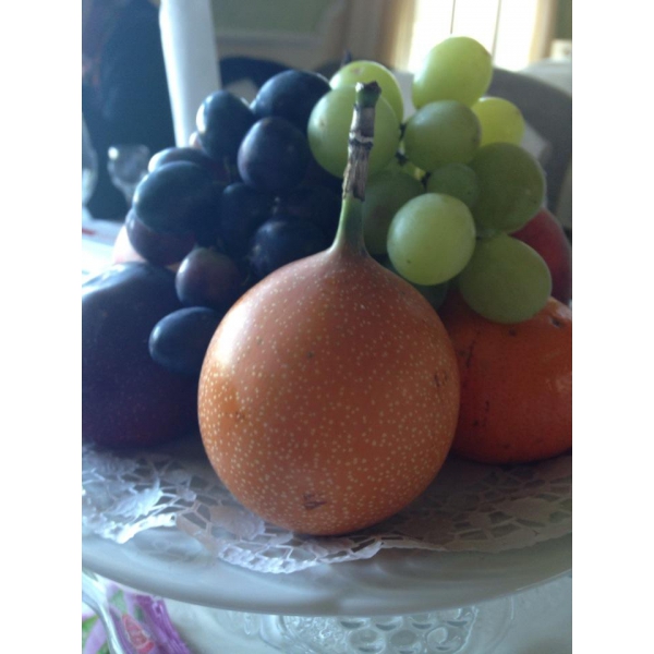 Ресторанный сервис бронирования столиков menu-rest.com - Интерьер ресторана "Невская Жемчужина"