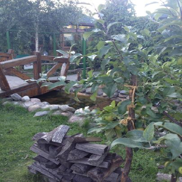 Ресторанный сервис бронирования столиков menu-rest.com - Интерьер ресторана "Невская Жемчужина"