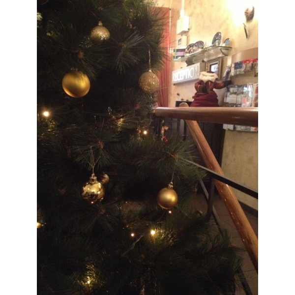 Ресторанный сервис бронирования столиков menu-rest.com - Интерьер ресторана "Marco Polo"