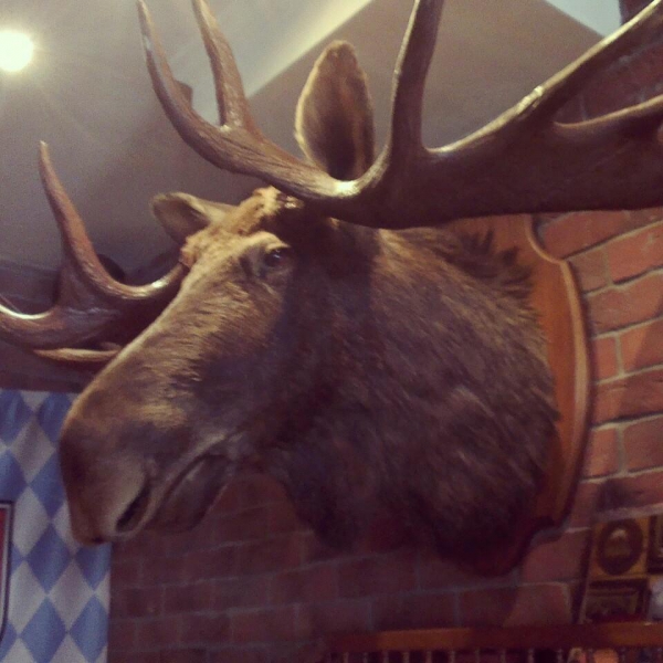 Ресторанный сервис бронирования столиков menu-rest.com - Интерьер ресторана "Bier Konig"