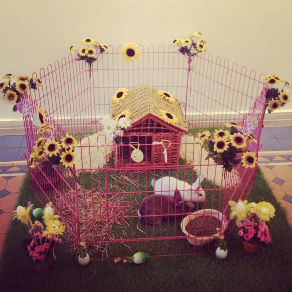 Ресторанный сервис бронирования столиков menu-rest.com - Интерьер ресторана "Русская Рюмочная №1"