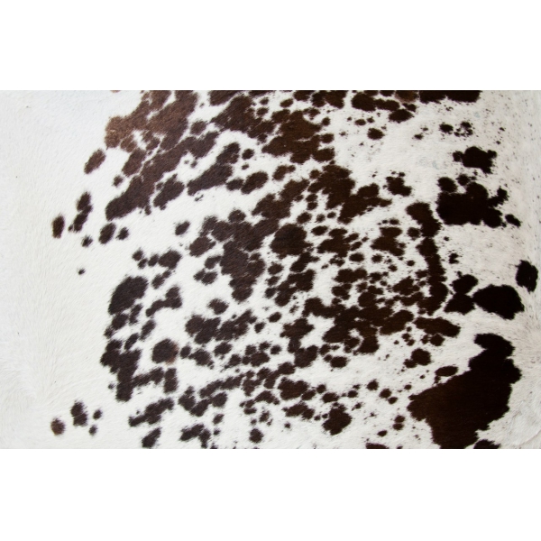 Ресторанный сервис бронирования столиков menu-rest.com - Интерьер ресторана "Korovabar"