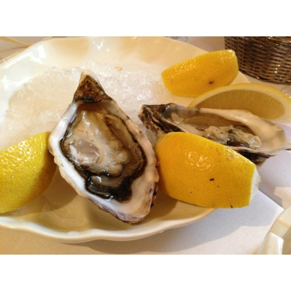 Ресторанный сервис бронирования столиков menu-rest.com - Интерьер ресторана "Porto Maltese"