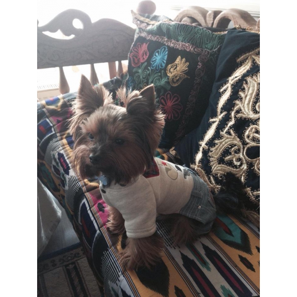 Ресторанный сервис бронирования столиков menu-rest.com - Интерьер ресторана "Навруз"