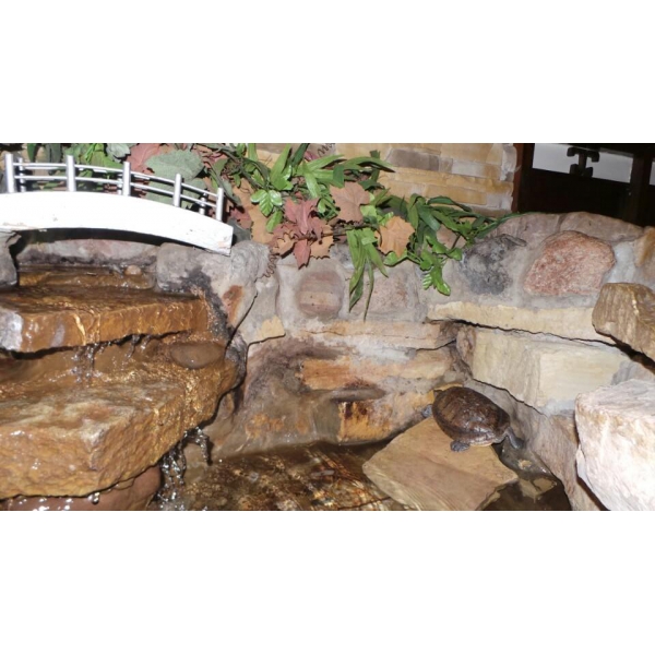 Ресторанный сервис бронирования столиков menu-rest.com - Интерьер ресторана "Цзао Ван"