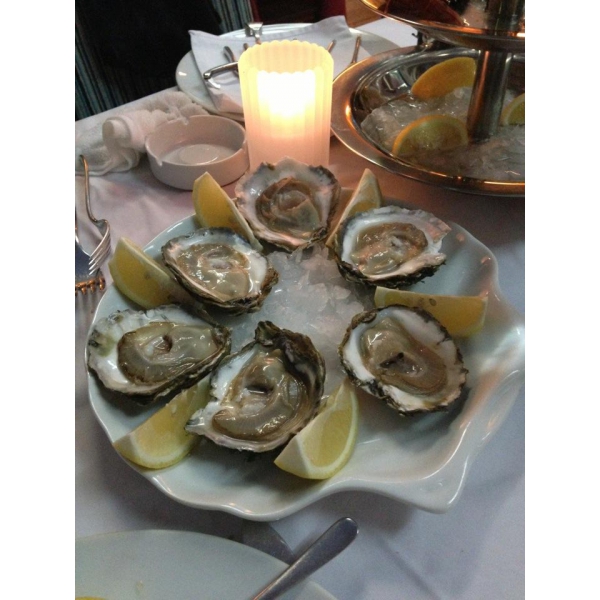 Ресторанный сервис бронирования столиков menu-rest.com - Интерьер ресторана "Porto Maltese"