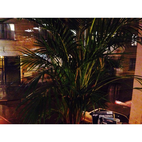 Ресторанный сервис бронирования столиков menu-rest.com - Интерьер ресторана "Gusto"