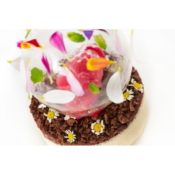 Ресторанный сервис бронирования столиков menu-rest.com - Интерьер ресторана "Gusto"