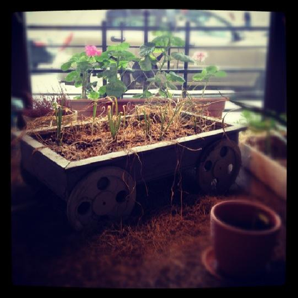 Ресторанный сервис бронирования столиков menu-rest.com - Интерьер ресторана "Гапикус"