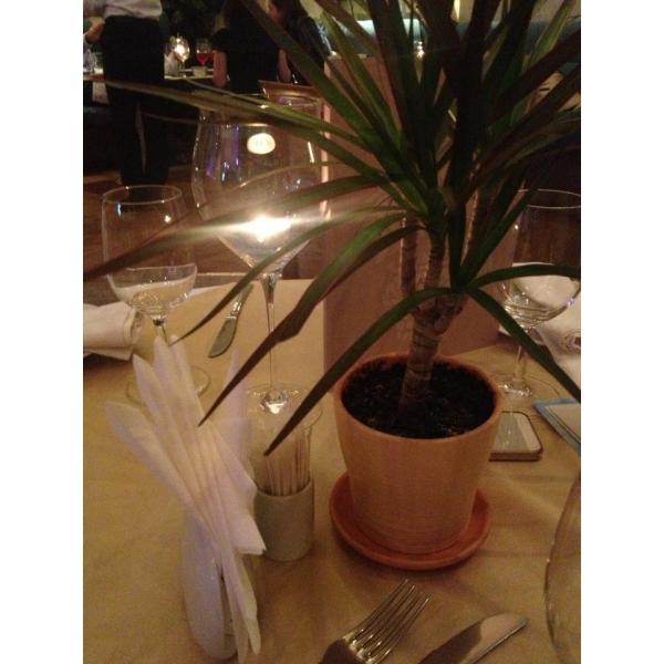 Ресторанный сервис бронирования столиков menu-rest.com - Интерьер ресторана "Palermo"