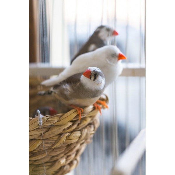 Ресторанный сервис бронирования столиков menu-rest.com - Интерьер ресторана "Palermo"