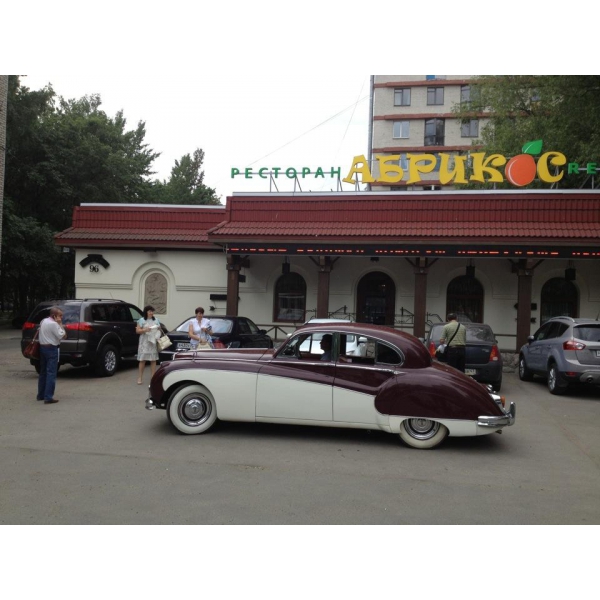 Ресторанный сервис бронирования столиков menu-rest.com - Интерьер ресторана "Абрикос"