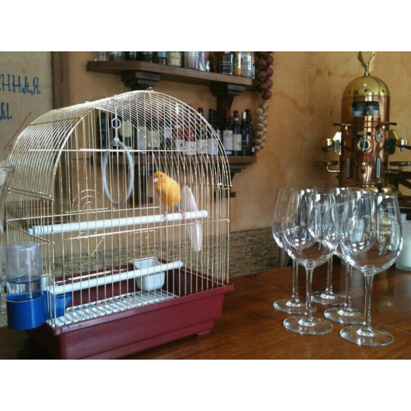 Ресторанный сервис бронирования столиков menu-rest.com - Интерьер ресторана "Pizza & Pasta.com"