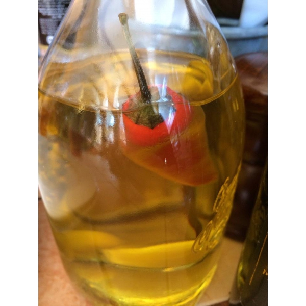 Ресторанный сервис бронирования столиков menu-rest.com - Интерьер ресторана "Pizza & Pasta.com"