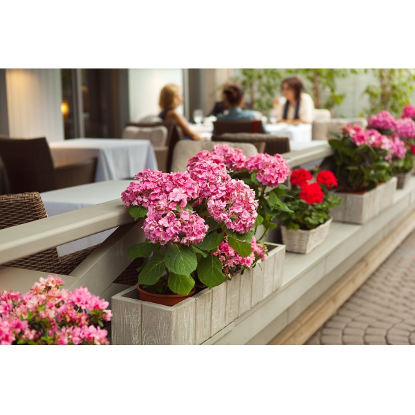 Ресторанный сервис бронирования столиков menu-rest.com - Интерьер ресторана "Vox"