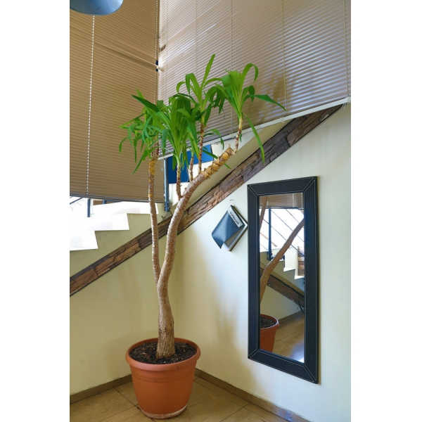 Ресторанный сервис бронирования столиков menu-rest.com - Интерьер ресторана "Квадрат"