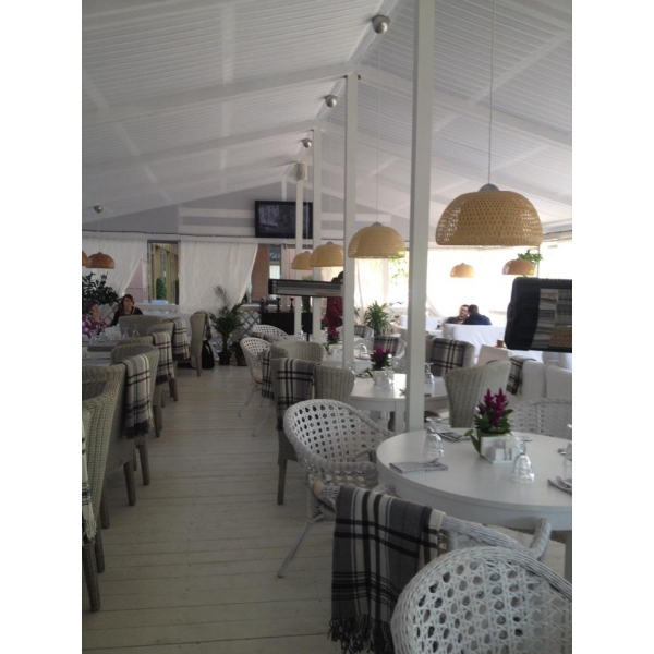 Ресторанный сервис бронирования столиков menu-rest.com - Интерьер ресторана "Mojo"