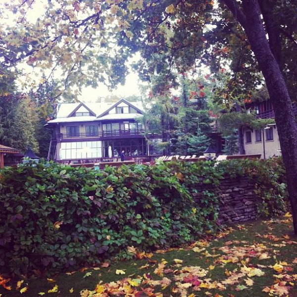 Ресторанный сервис бронирования столиков menu-rest.com - Интерьер ресторана "Скандинавия"