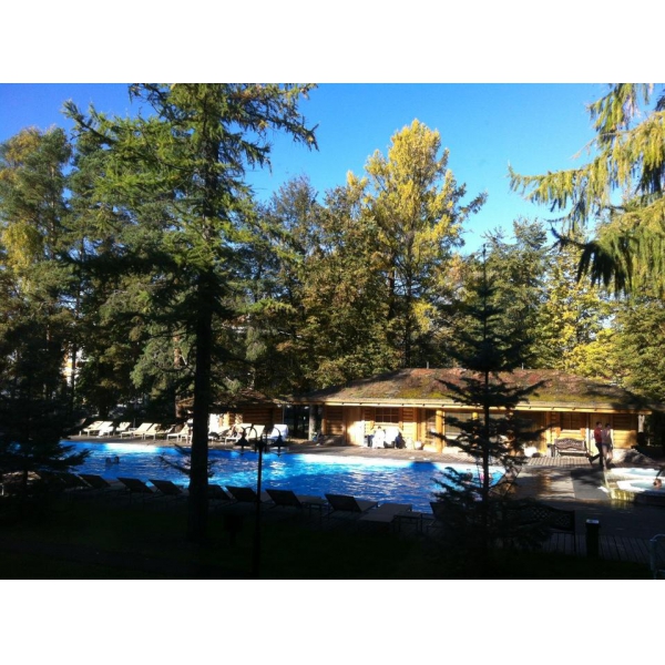 Ресторанный сервис бронирования столиков menu-rest.com - Интерьер ресторана "Скандинавия"