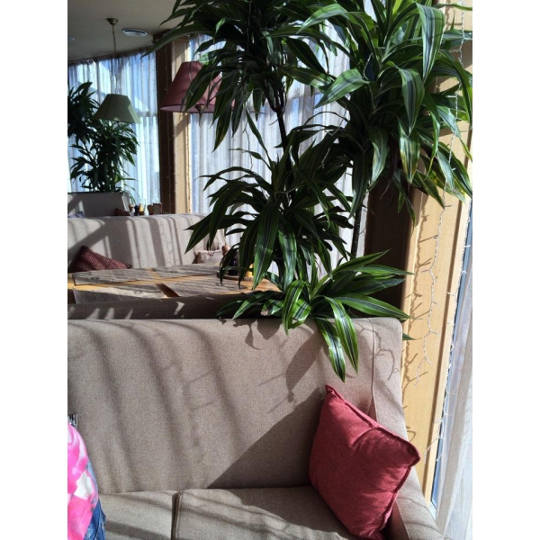 Ресторанный сервис бронирования столиков menu-rest.com - Интерьер ресторана "Esperanto"