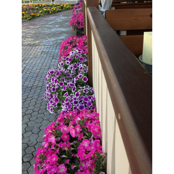 Ресторанный сервис бронирования столиков menu-rest.com - Интерьер ресторана "Пиворама"