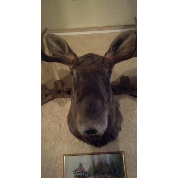 Ресторанный сервис бронирования столиков menu-rest.com - Интерьер ресторана "Леон"