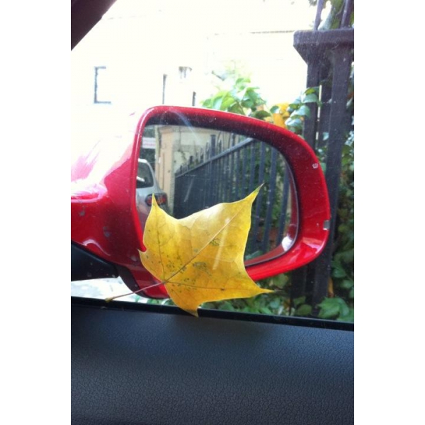 Ресторанный сервис бронирования столиков menu-rest.com - Интерьер ресторана "Denikin"