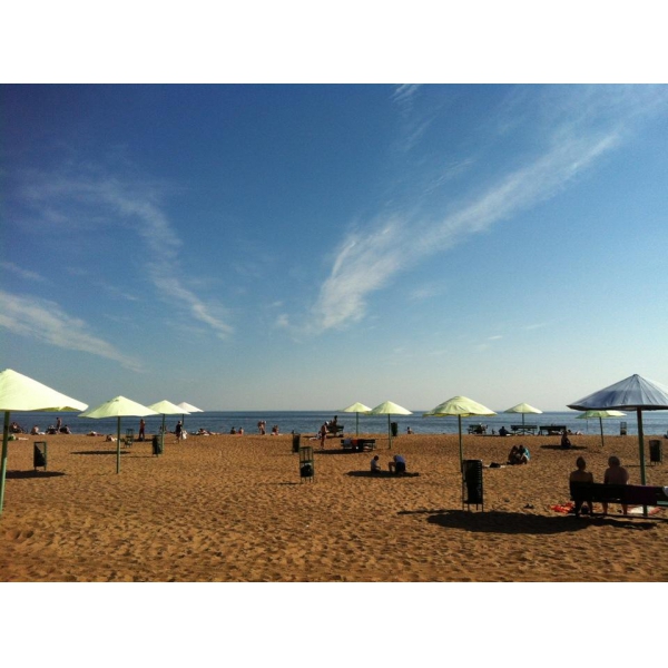 Ресторанный сервис бронирования столиков menu-rest.com - Интерьер ресторана "Runo.ru"