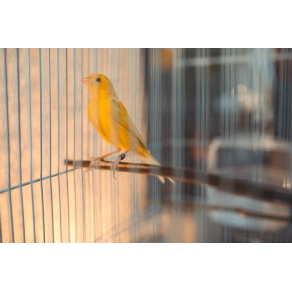 Ресторанный сервис бронирования столиков menu-rest.com - Интерьер ресторана "Legran Village"