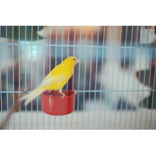 Ресторанный сервис бронирования столиков menu-rest.com - Интерьер ресторана "Legran Village"