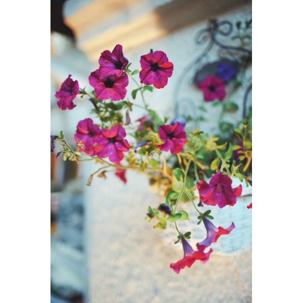 Ресторанный сервис бронирования столиков menu-rest.com - Интерьер ресторана "Legran Village"