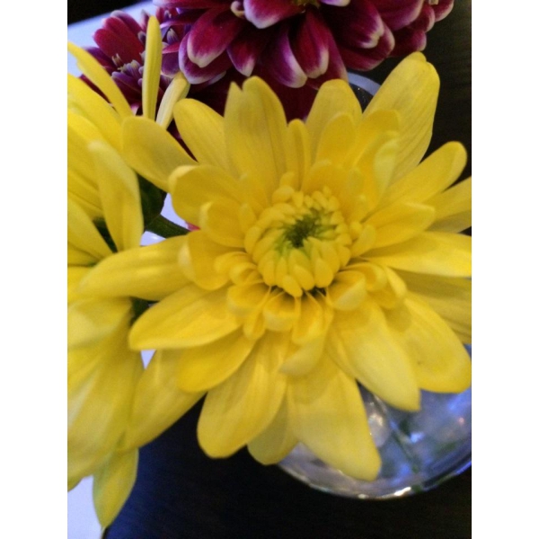 Ресторанный сервис бронирования столиков menu-rest.com - Интерьер ресторана "Lolo & Pepe"