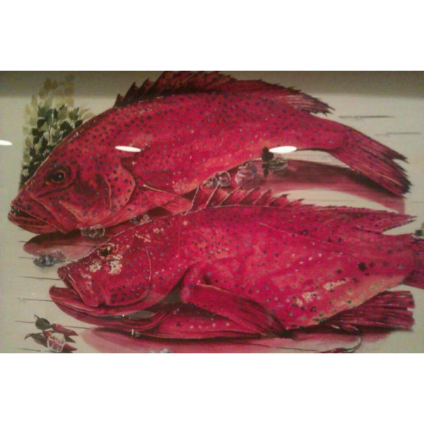 Ресторанный сервис бронирования столиков menu-rest.com - Интерьер ресторана "Пивная Кружка"