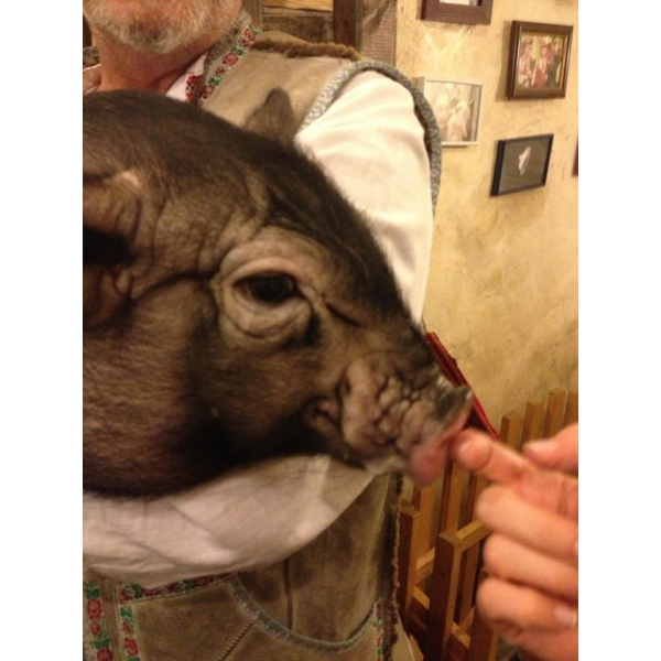 Ресторанный сервис бронирования столиков menu-rest.com - Интерьер ресторана "Корчма Сало"