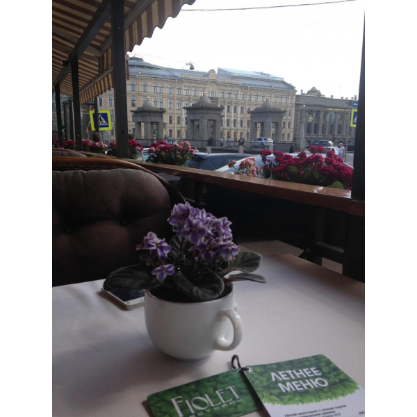 Ресторанный сервис бронирования столиков menu-rest.com - Интерьер ресторана "Fiolet"