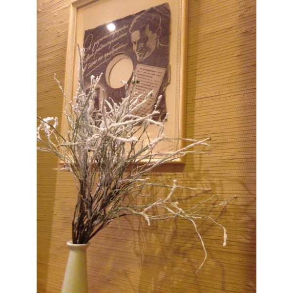 Ресторанный сервис бронирования столиков menu-rest.com - Интерьер ресторана "ПИТЕР"