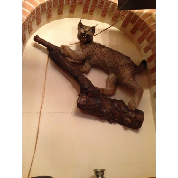 Ресторанный сервис бронирования столиков menu-rest.com - Интерьер ресторана "Охотничья усадьба"