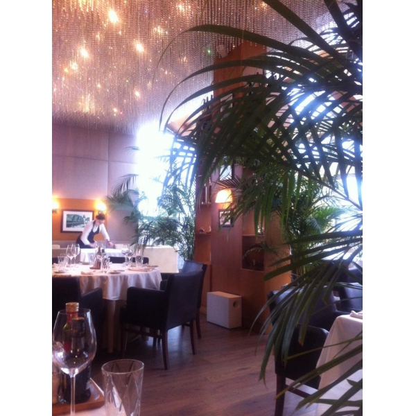 Ресторанный сервис бронирования столиков menu-rest.com - Интерьер ресторана "Luce"