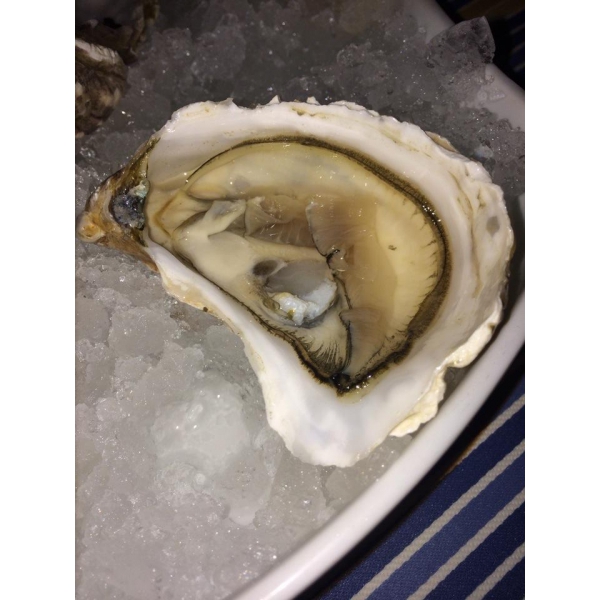 Ресторанный сервис бронирования столиков menu-rest.com - Интерьер ресторана "La Perla Fish House"