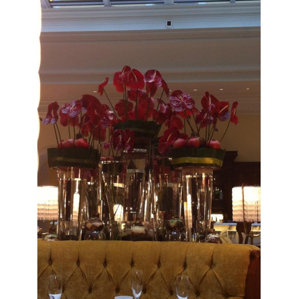 Ресторанный сервис бронирования столиков menu-rest.com - Интерьер ресторана "Tea Lounge"