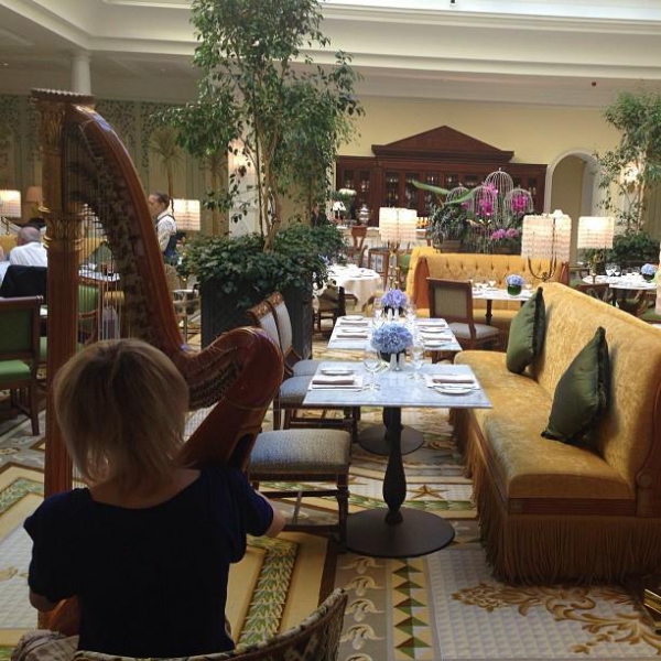 Ресторанный сервис бронирования столиков menu-rest.com - Интерьер ресторана "Tea Lounge"