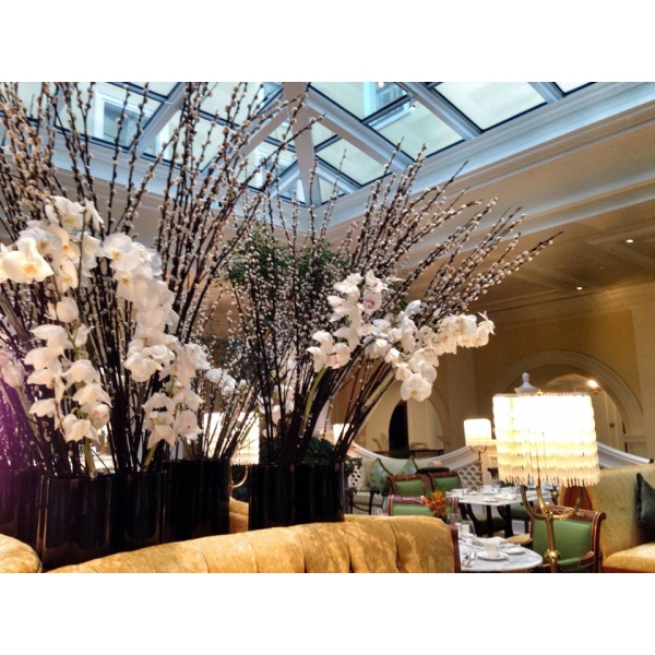 Ресторанный сервис бронирования столиков menu-rest.com - Интерьер ресторана "Tea Lounge"