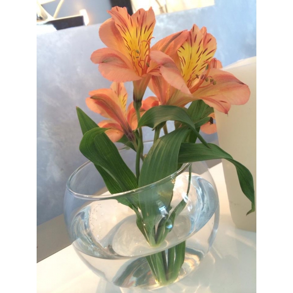 Ресторанный сервис бронирования столиков menu-rest.com - Интерьер ресторана "Angle Vert"