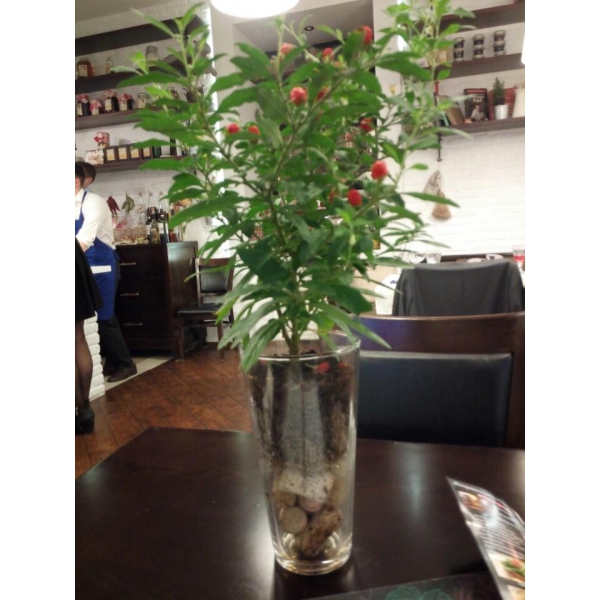 Ресторанный сервис бронирования столиков menu-rest.com - Интерьер ресторана "На Кухне"