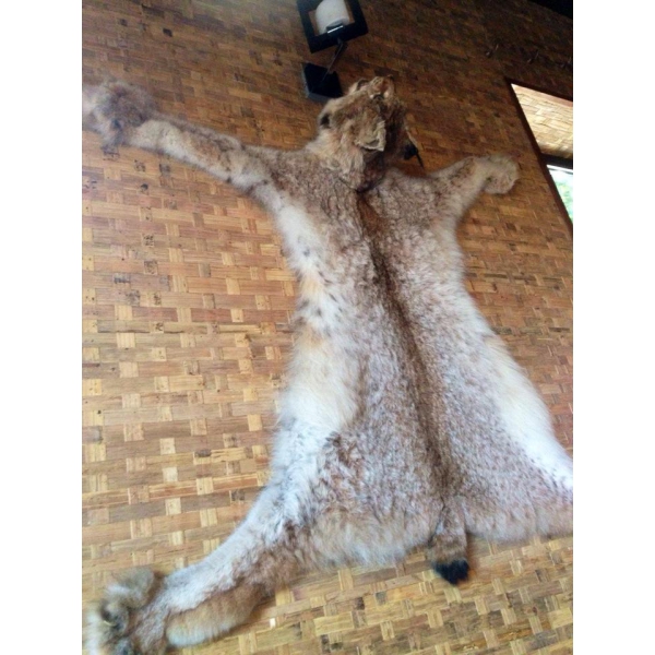 Ресторанный сервис бронирования столиков menu-rest.com - Интерьер ресторана "Абхазский двор"