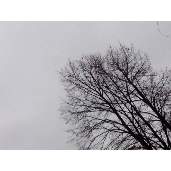 Ресторанный сервис бронирования столиков menu-rest.com - Интерьер ресторана "Уютный"