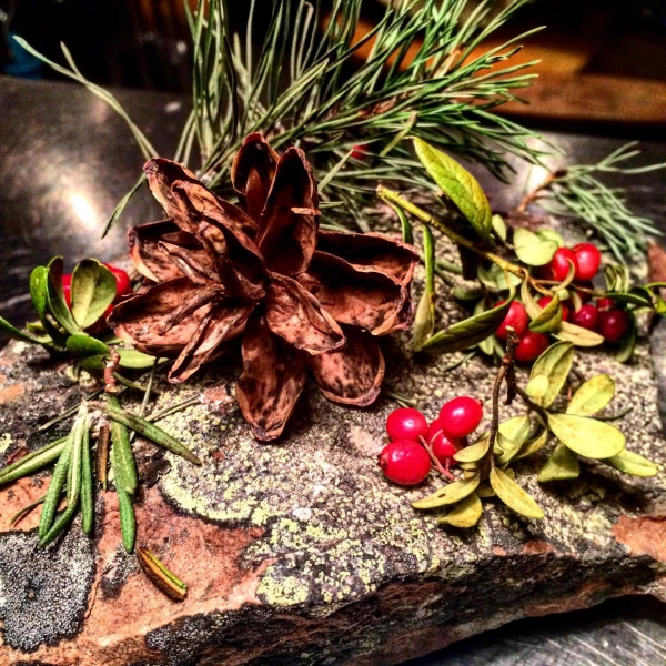 Ресторанный сервис бронирования столиков menu-rest.com - Интерьер ресторана "OLENЬ"