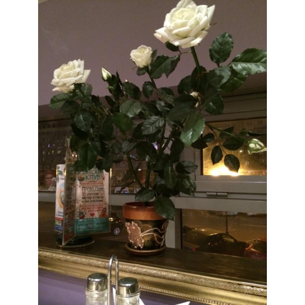 Ресторанный сервис бронирования столиков menu-rest.com - Интерьер ресторана "Розарио"