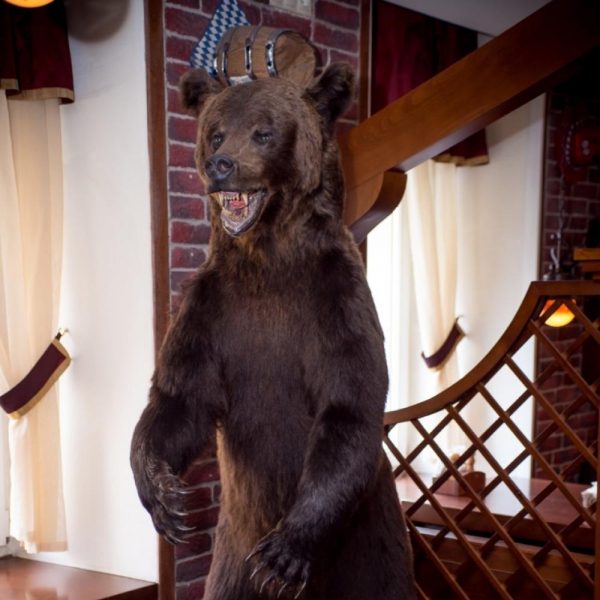 Ресторанный сервис бронирования столиков menu-rest.com - Интерьер ресторана "BIER KONIG (ПИВНОЙ КОРОЛЬ)"