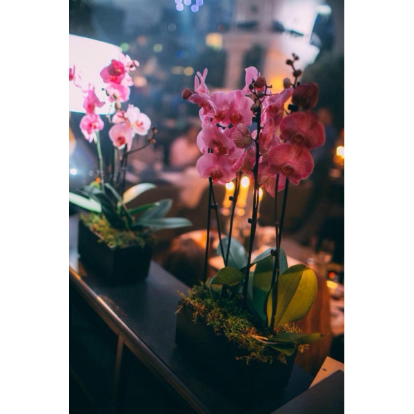 Ресторанный сервис бронирования столиков menu-rest.com - Интерьер ресторана "Pacman"